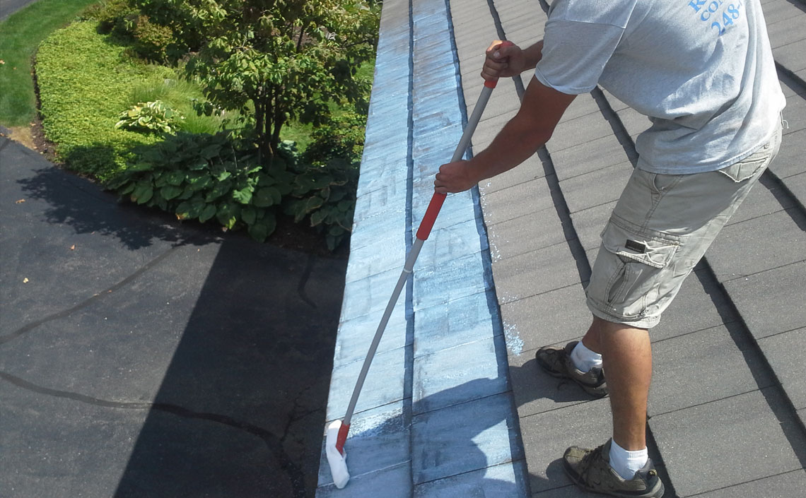 Roof Cleaning